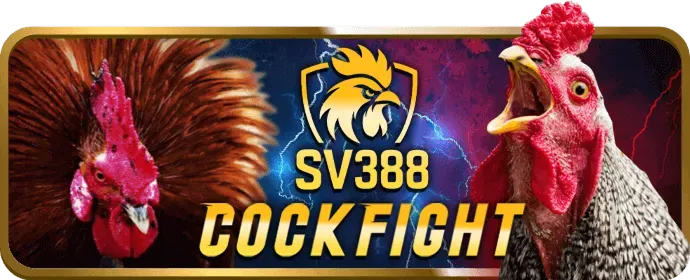 Hiểu rõ luật chơi mọi game tại sm666 nhà cái